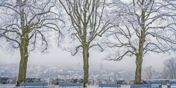 Winterthur