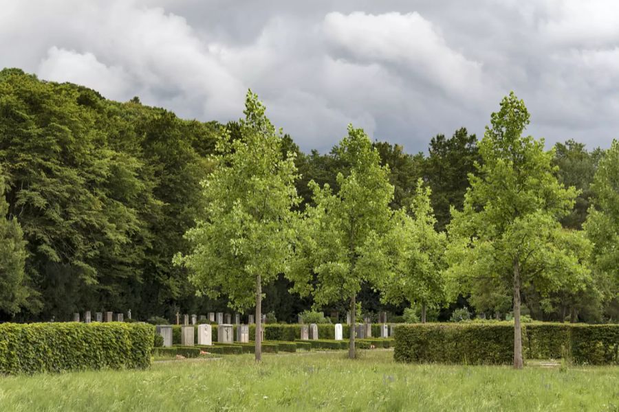 Tierschutz Friedhof am Hörnli