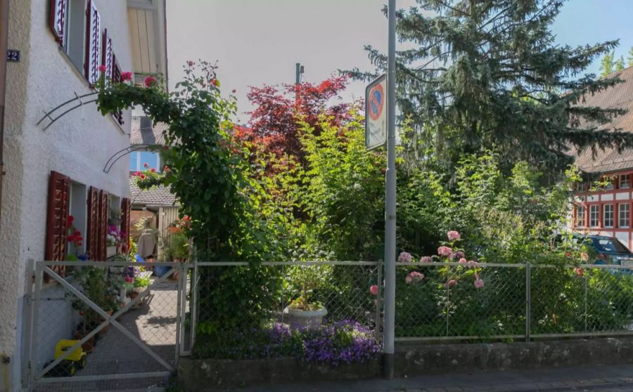 Garten in Wettingen