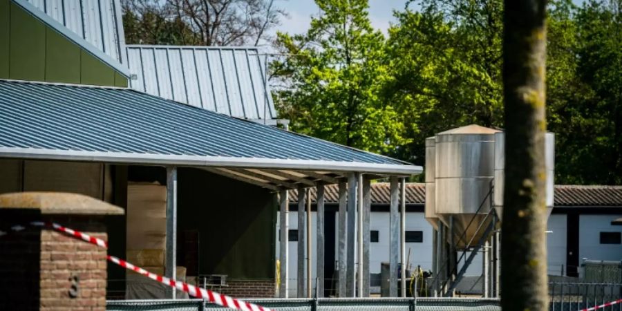 Abgesperrte Nerzfarm im niederländischen Beek en Donk