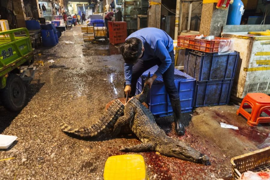 Ein mann zerlegt ein gekauftes Krokodil vor Ort auf der Strasse. (Archivbild)