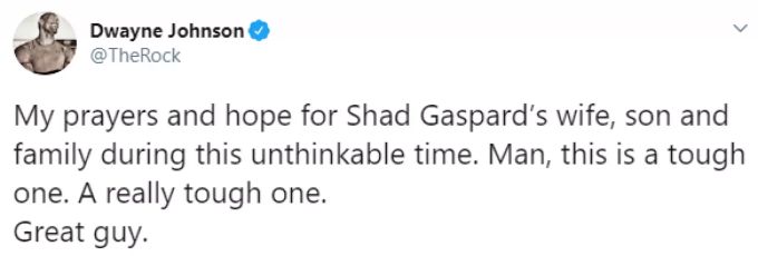 Dwayne Johnson Shad Gaspard