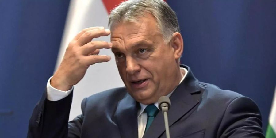 Ungarns Regierungschef Viktor Orban während einer Pressekonferenz in Budapest. Foto: -/Kremlin/dpa